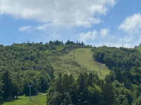 Studio en Centre Station, Proche Commerces & Pistes - FR-1-814-8